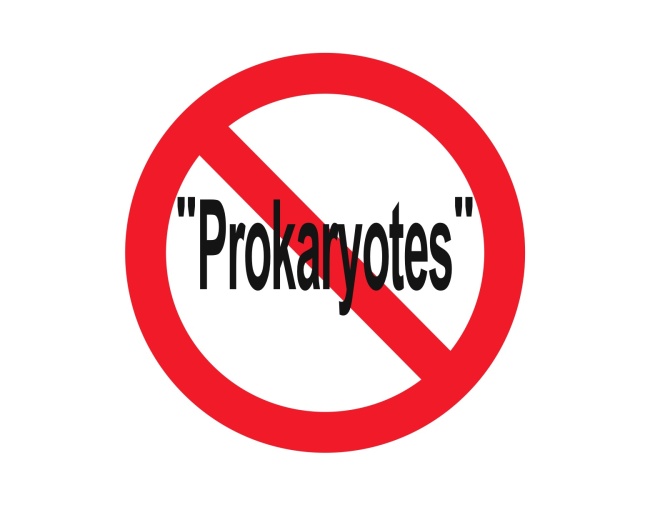 NoProkaryotes